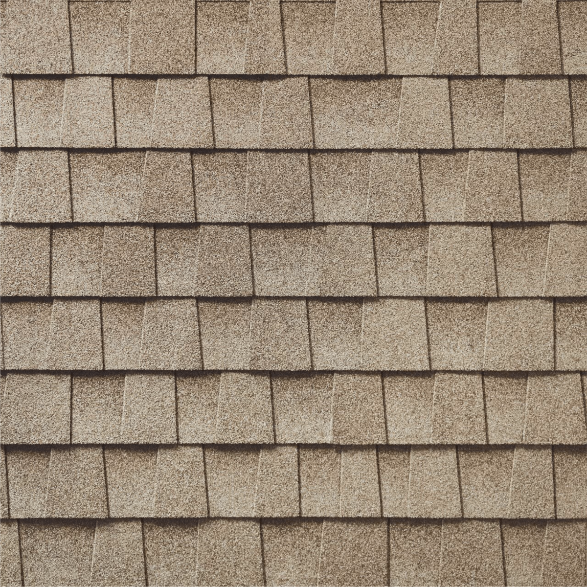 Albert Chavez Construction Images